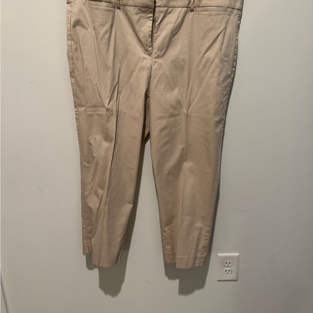 Ann Taylor Factory Beige Trousers